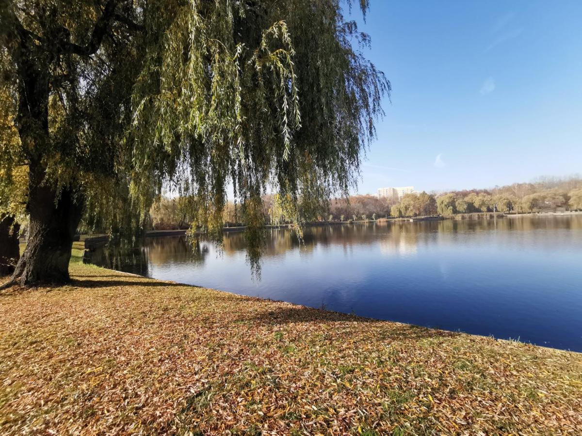 Appartamento Apartament Skalka Świętochłowice Esterno foto